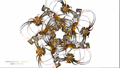 Spline-Time Pro